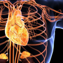 Pulse of Progress: Dr Hari Saini 's Impact on Cardiovascular Disease Management